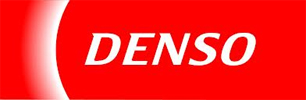 /Content/files/Logo_Pages_Denso_100.jpg